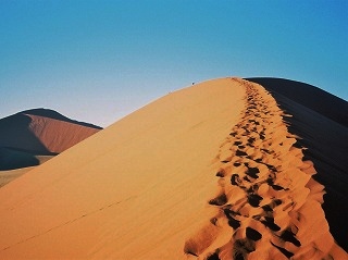 ナミブ砂漠　ナミビア